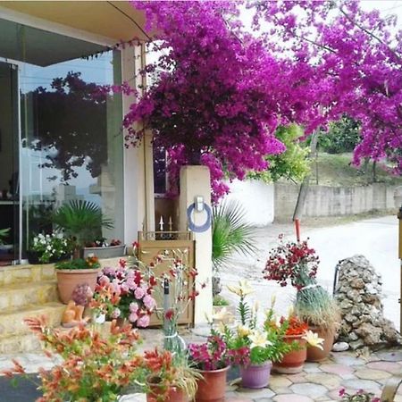Hotel Ridal Vlorë 外观 照片